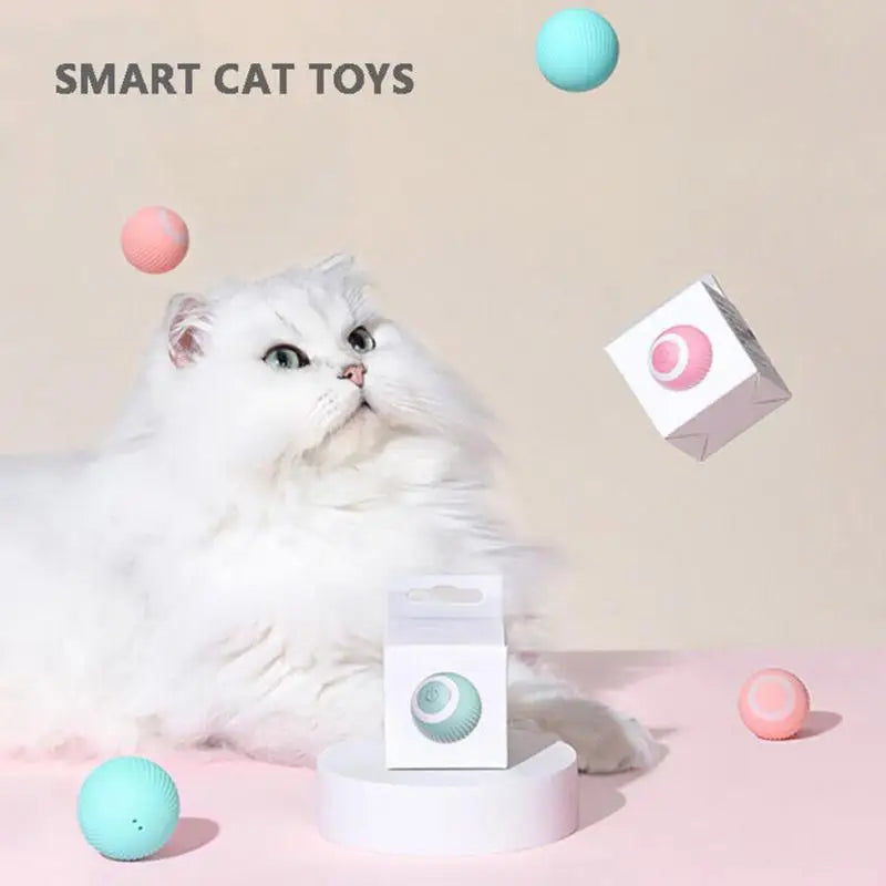 Pink cat teasing ball -- Pink