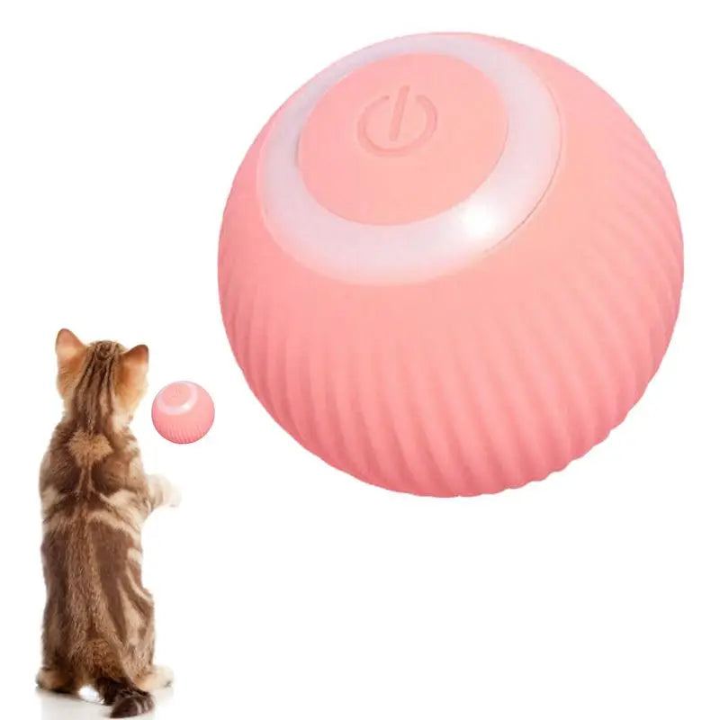 Pink cat teasing ball -- Pink