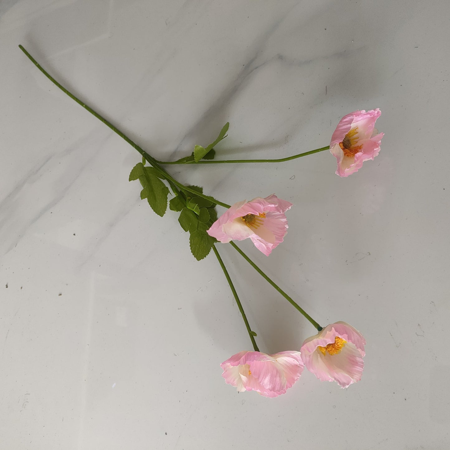 93f8ee3c-feca-462e-9a4f-d06372f2bf95