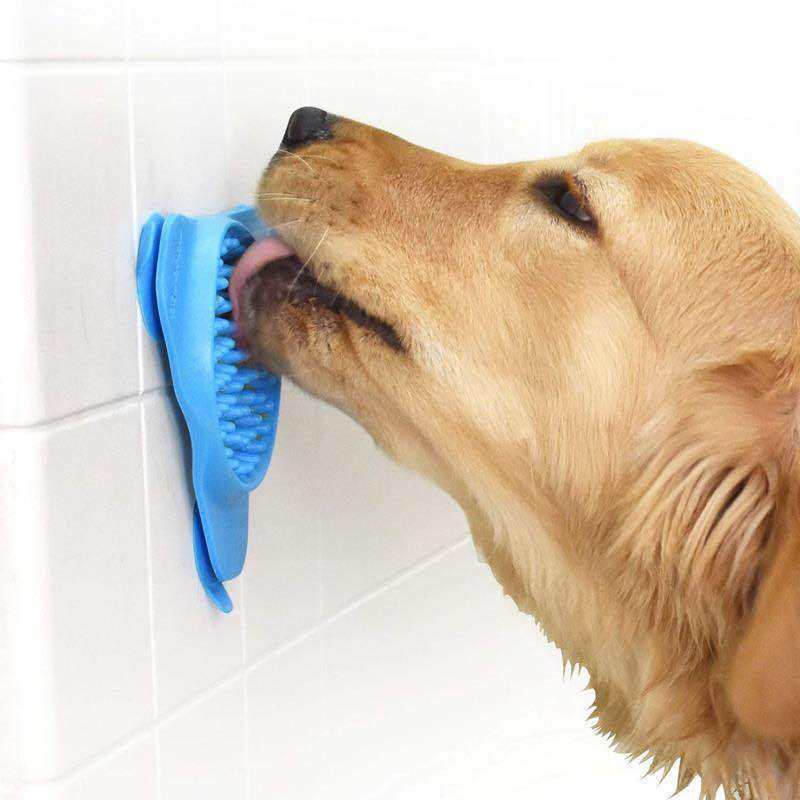 Pet Bowl -- Blue