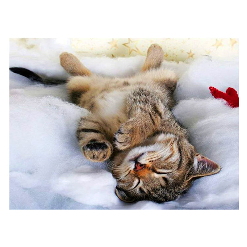 0cc2e72c-d20f-4408-bd67-8b0114fc8f55