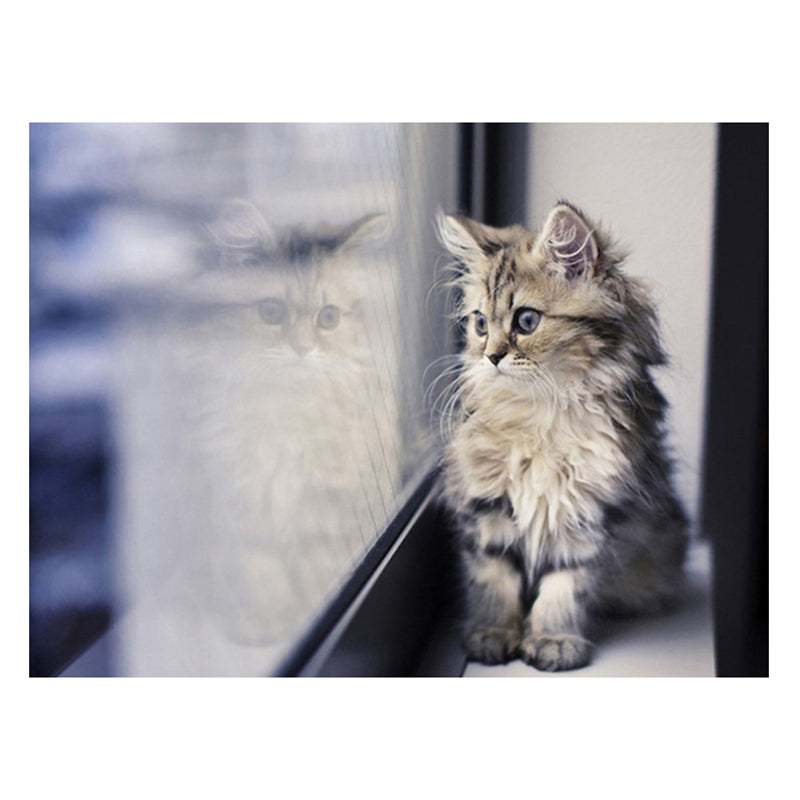 129d8c37-b35b-4bb1-bdeb-f0cf3275dc2f