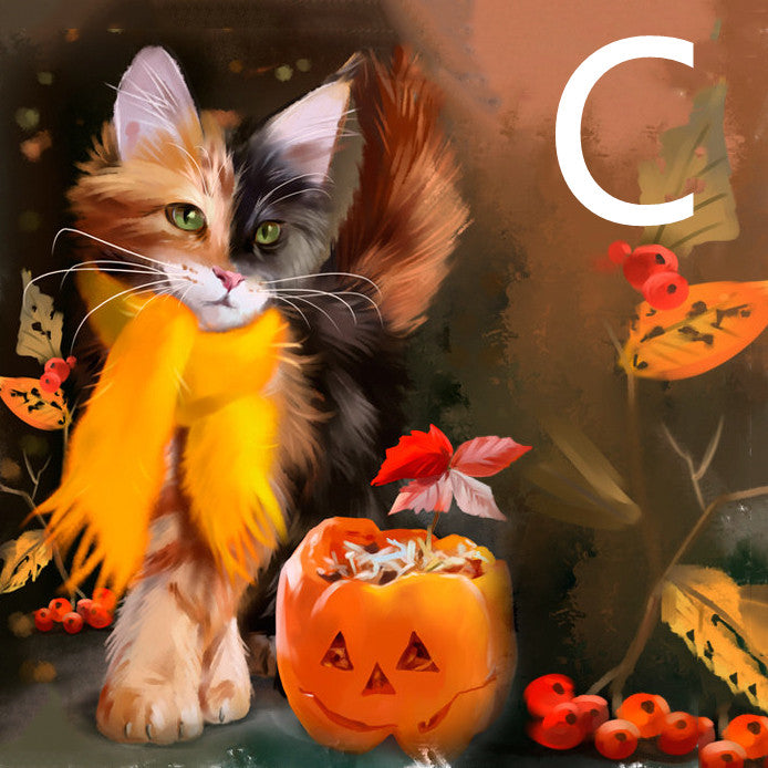 1724fd16-3007-41e9-a0b3-f28d0f32bb2e