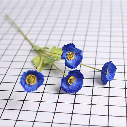 277c43e9-623a-4f1c-a110-a97d411b1fe5