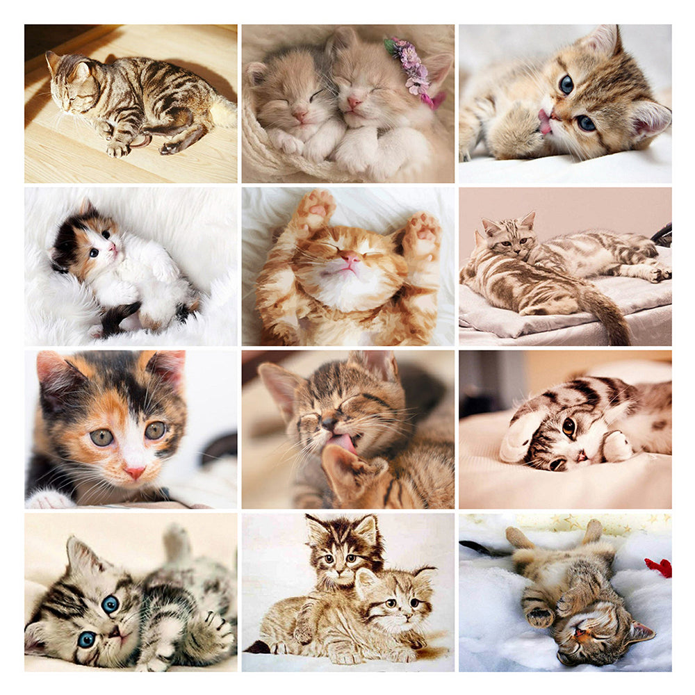 28799c6e-e9cd-4ca3-bdb9-60363dadeca0