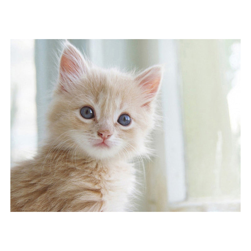 2a8782da-bdac-4f9e-8ee5-93a34b3bfac5