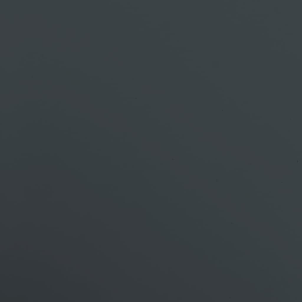 File Cabinet Anthracite Powder-coated steel Large File Cabinet