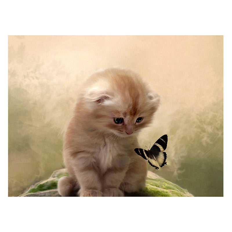 38af227a-6249-45b6-a0f2-61d9edf66461