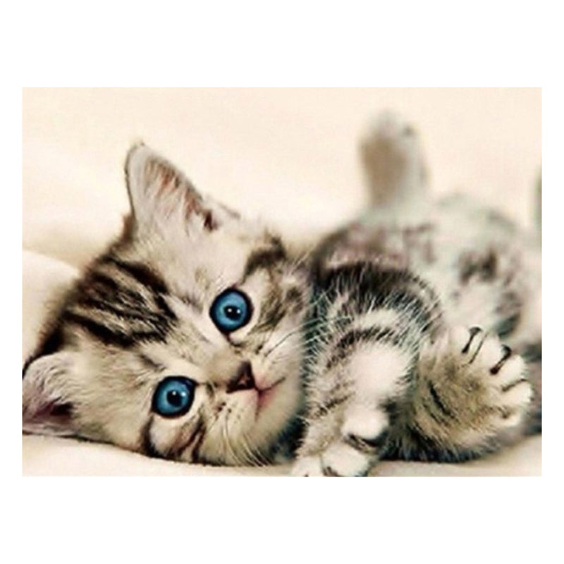 4f3130a4-b88b-432b-8b43-86ece0cd1123