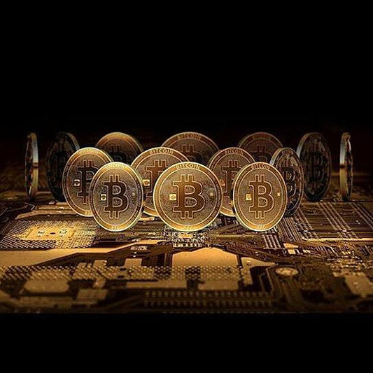 Color: Gold,Size: Single - Bit Coins The Celebratory Coins In Crystal Clear Case