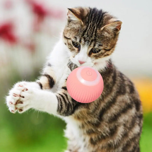 Pink cat teasing ball -- Pink