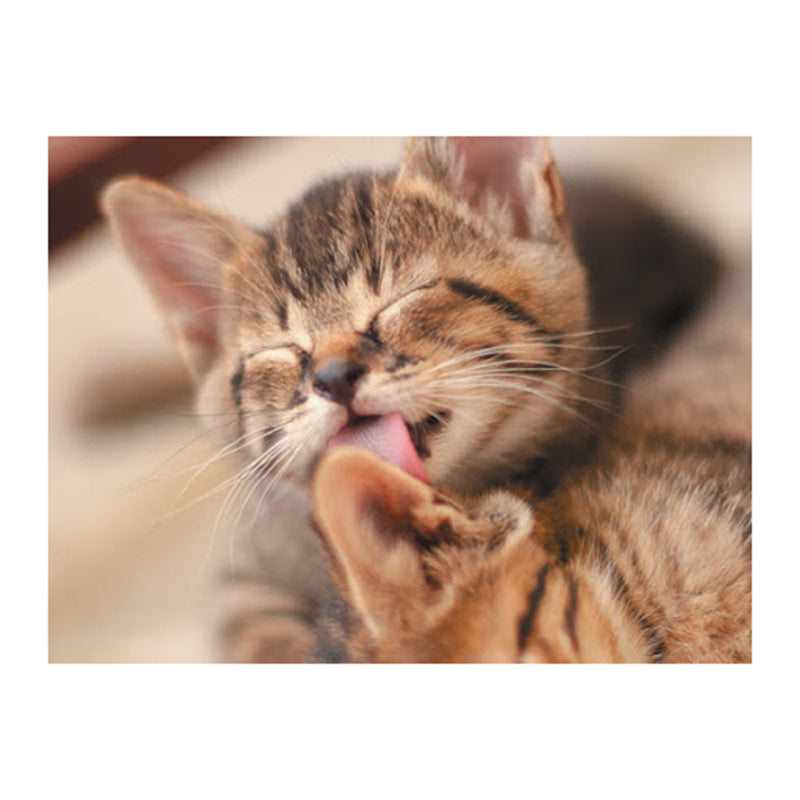 7eb591b6-e990-433e-8477-8e845a589370