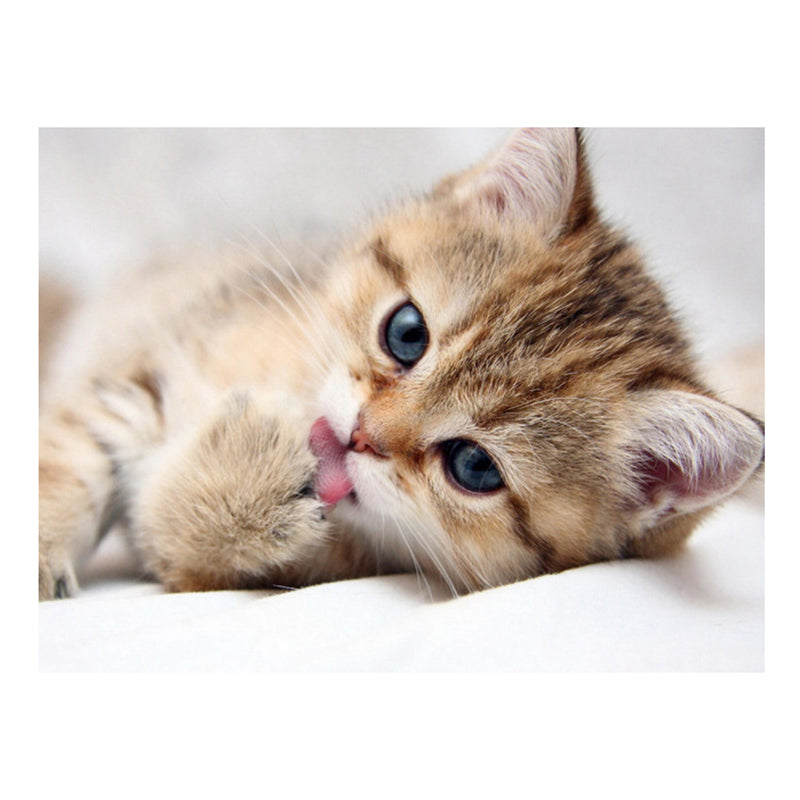 86f84ff3-51ba-4b5a-ab96-f542f52a0d4e