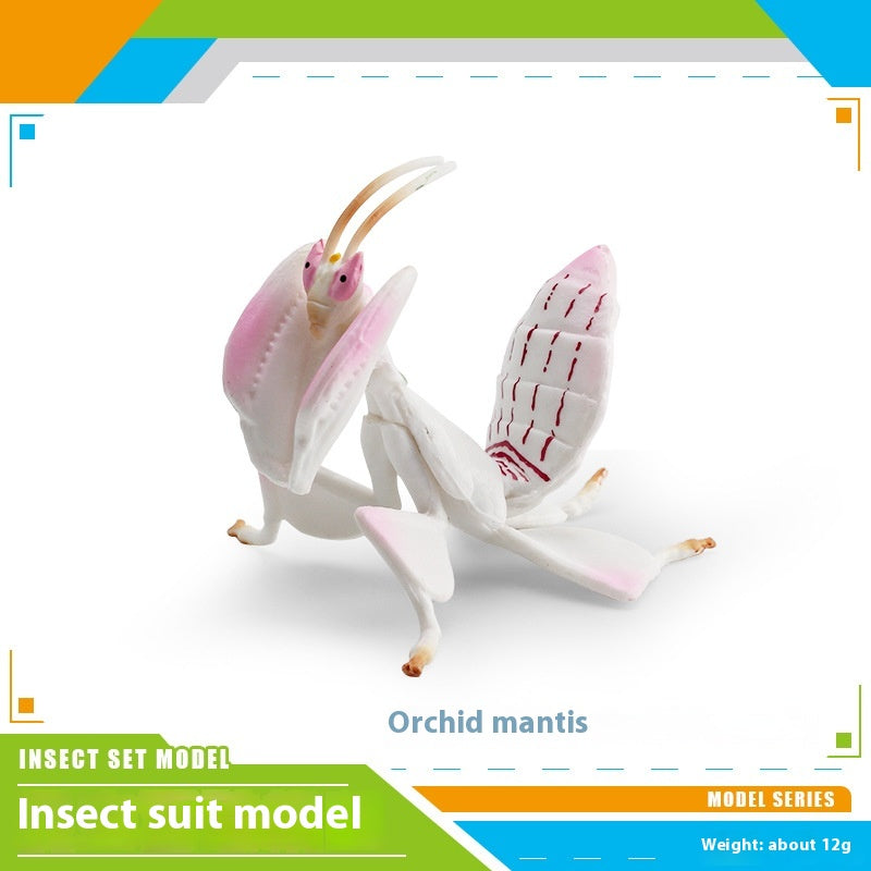 8b24465a-2ad7-4821-a0cd-b2a07a38d238