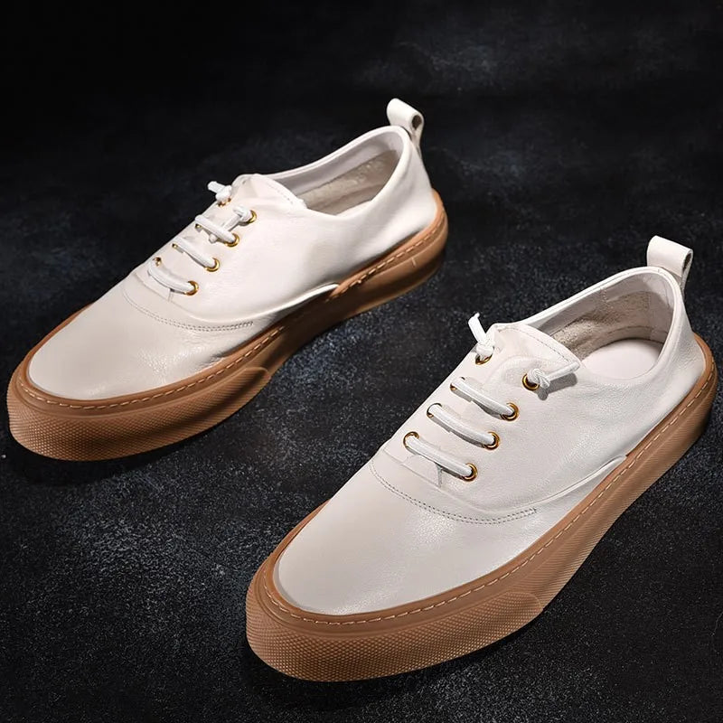 H754d29b81a9540b181cb680c87c48195H