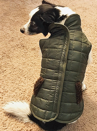 FASHION PET Giraffe Sweater M