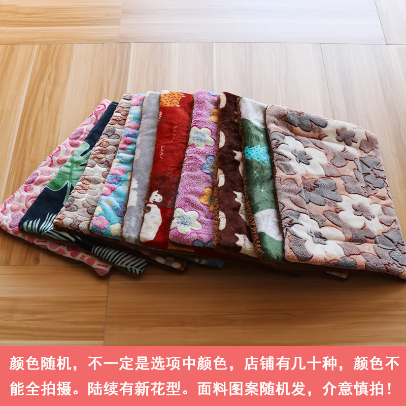 O1CN0102GXlA2LY1o3cRTHH_!!3937219703