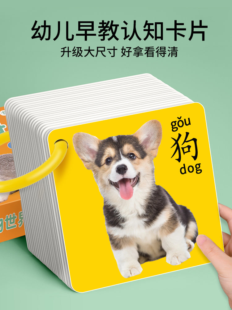 O1CN011QlJjy1YcETcepTnd_!!0-item_pic