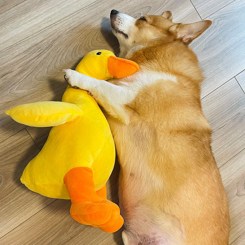 O1CN01GGxCjN1qgV2gPXxlX_!!0-item_pic