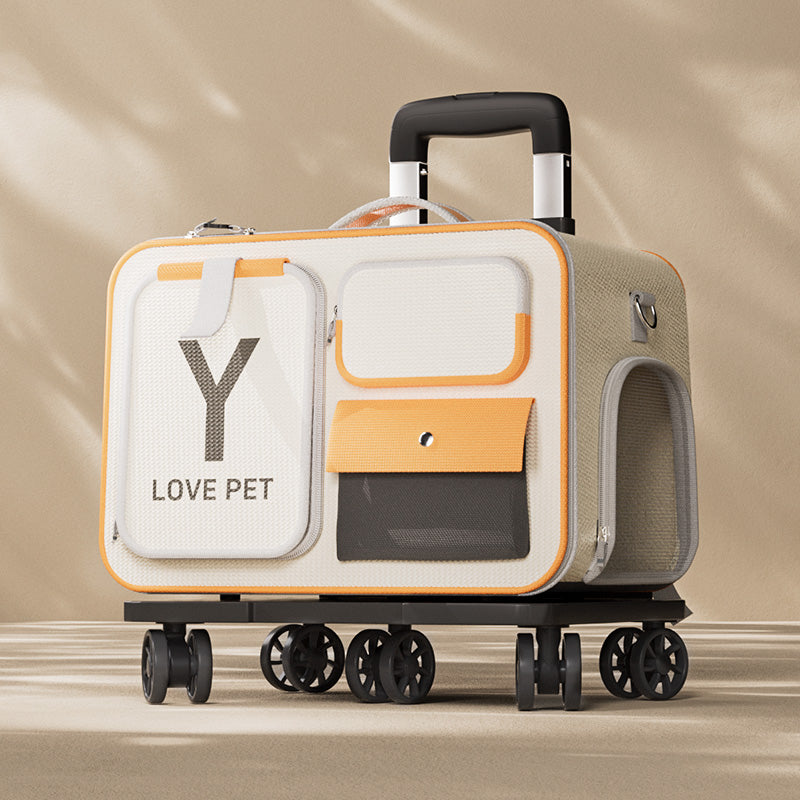 O1CN01VMpaCJ24NdWARLmeY_!!704407379