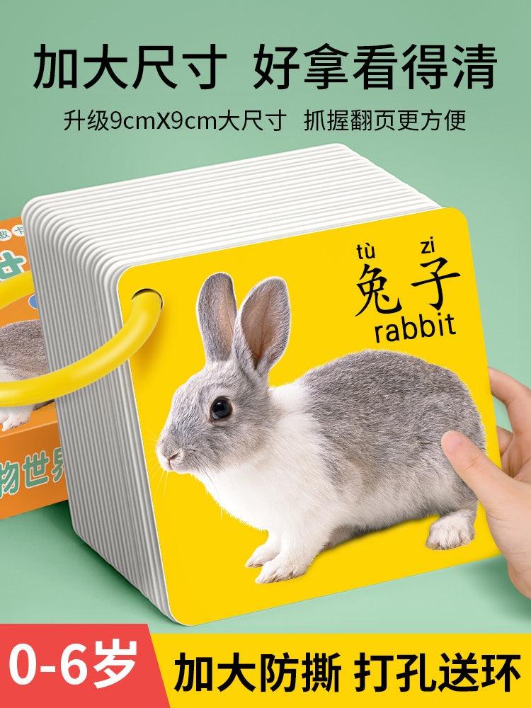 O1CN01WQ3XYA1YcETn8K10d_!!0-item_pic