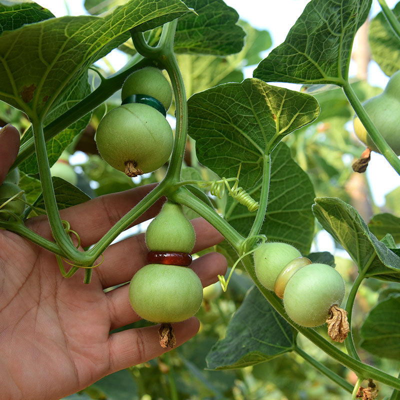 O1CN01Wql2jV1YCZrUIOPsY_!!2201422193023