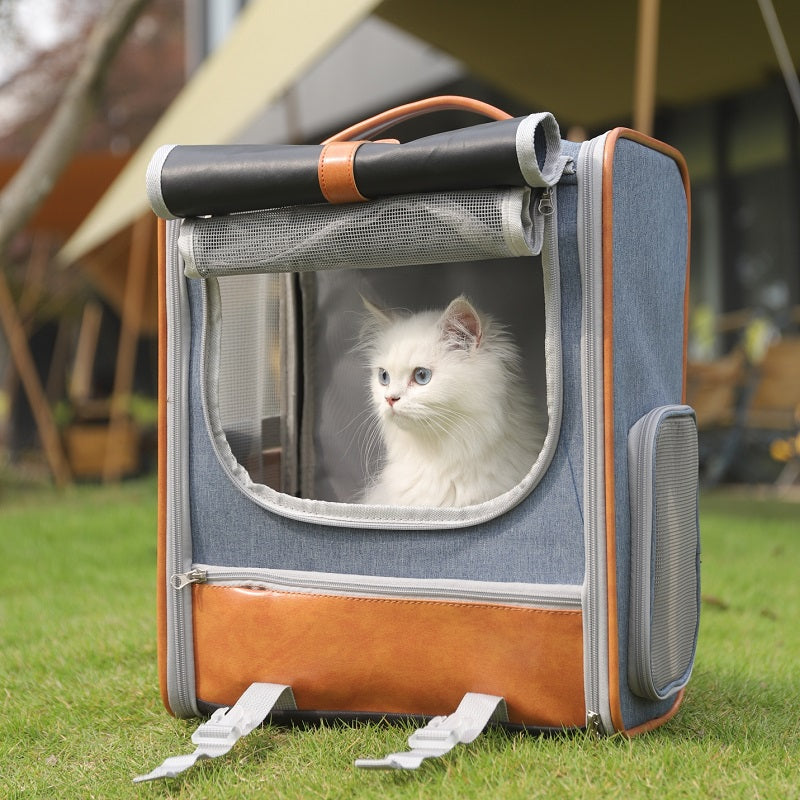 O1CN01XfU6c224NdSYSMk2g_!!704407379