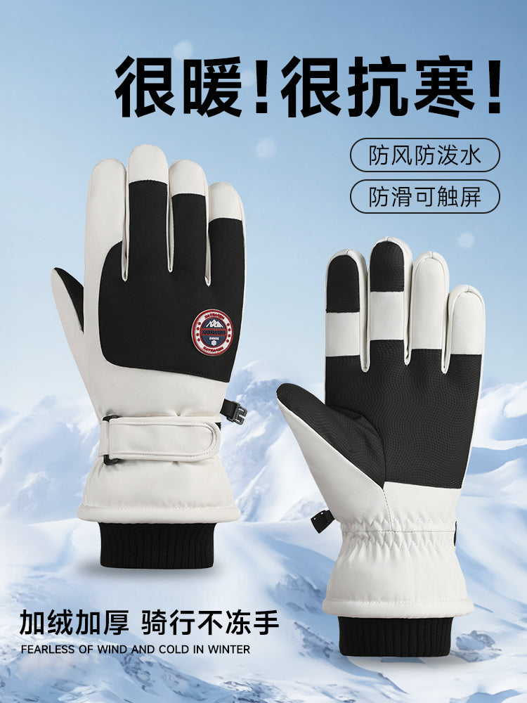 O1CN01aA15fH2C9udSwLGtp_!!4611686018427386208-0-item_pic