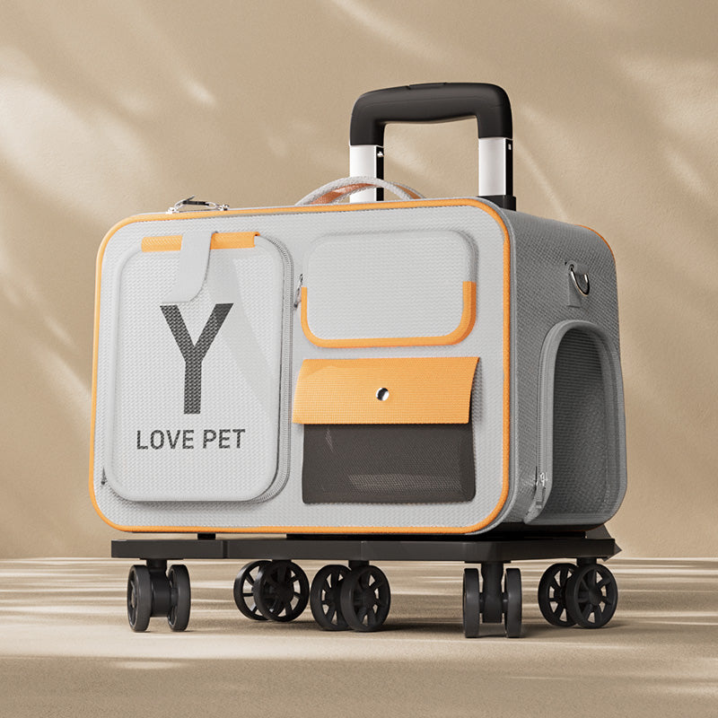 O1CN01zYXq8c24NdWGR8U7V_!!704407379