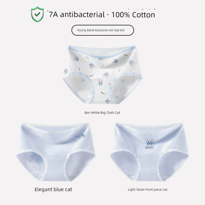 S01c6782c766c4f758c44fbaccab4c87e4