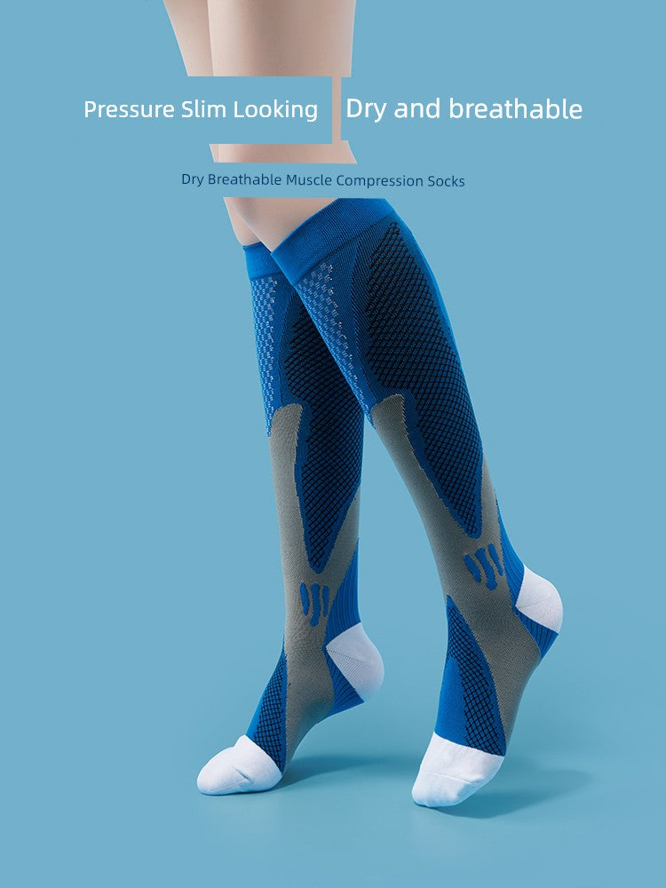 S0dfee6f3499c403392ab98ff7d43042bA