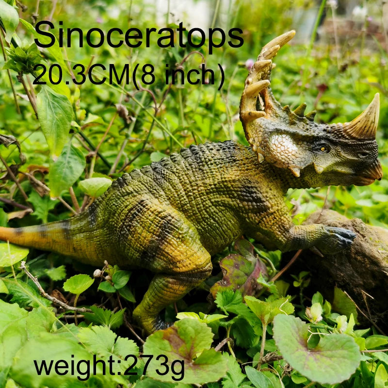 S1232b9aab537474e8ae523afa2226a36b