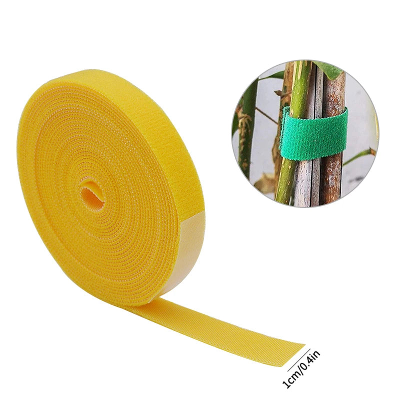 S178fca00a483449aacbf6a63b21c23533