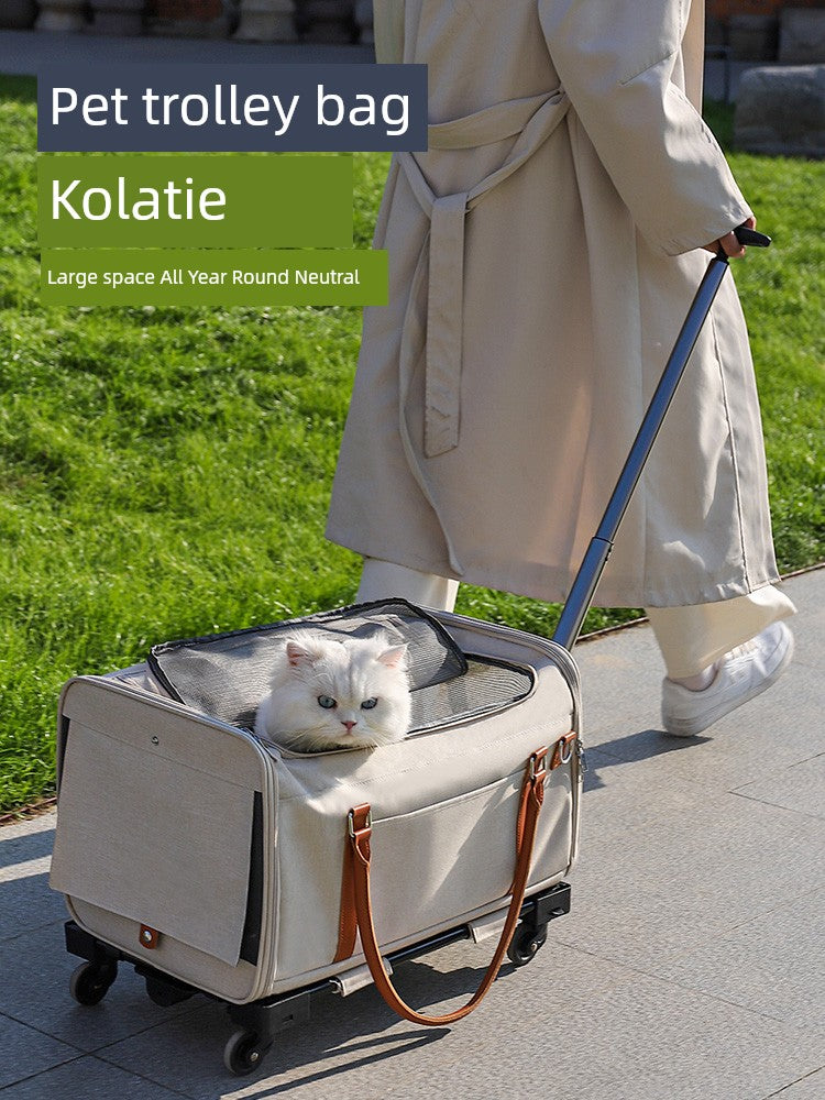 S19ee65ac66074c4090a30871900fc470f