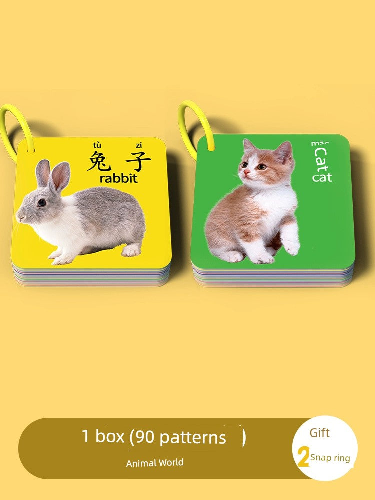 S1cbb1db6abbf4300b1f716f5e018697bq