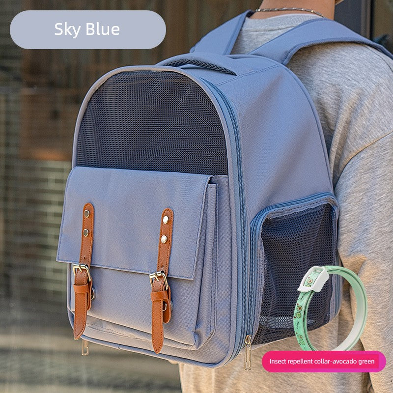 S246417a6b309430f8a8160f190e7843av