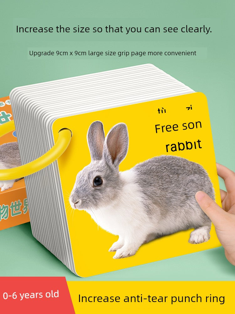 S2a067b07535e40ea8ec21c363da22593m