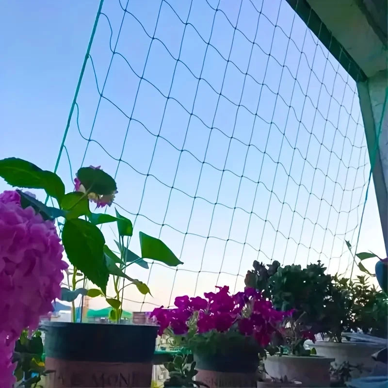 S3216fd8781b64269ad21e256e92a432eD