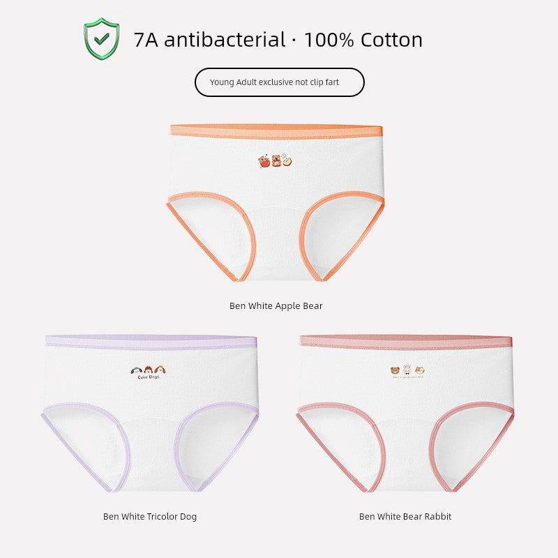 S3775bd05b1dd467ba65c221f3e6e970aJ