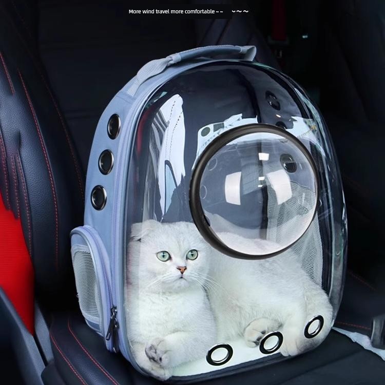 S377e37f7bf574f12ae4f6dec3c7c90c0D