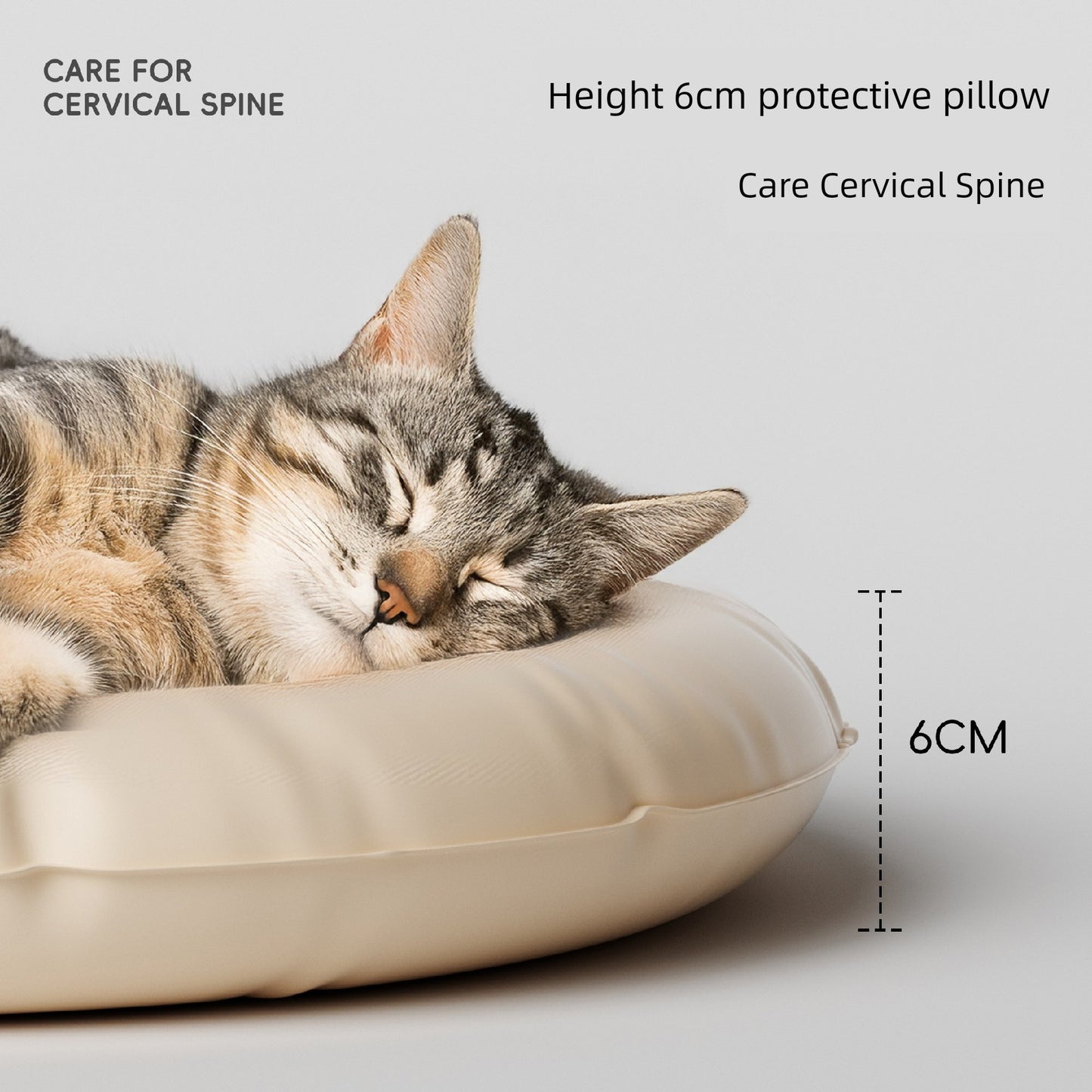 S37bba6235b254fb8a77ee693914c39d5M