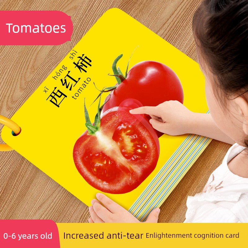 S3f1c886b12a14fdab935591b69eee825z