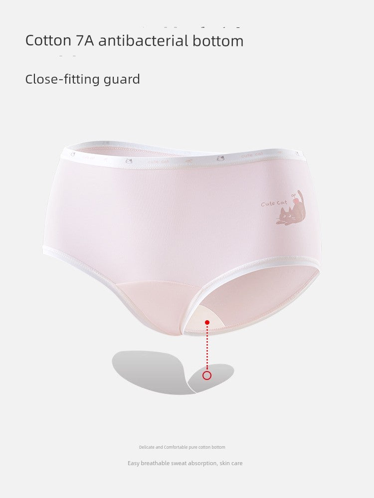 S3f9629ea5fdc4300ab6a9e5441fb5e71e