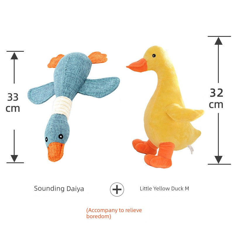 S433c8151d2fa4fe39349d23a1aaff3b3P