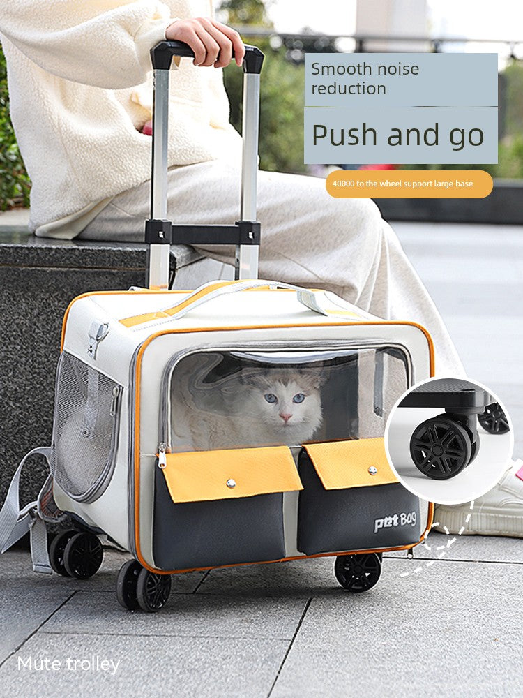 S445ab039c47644cc809a410f3eb4c9970