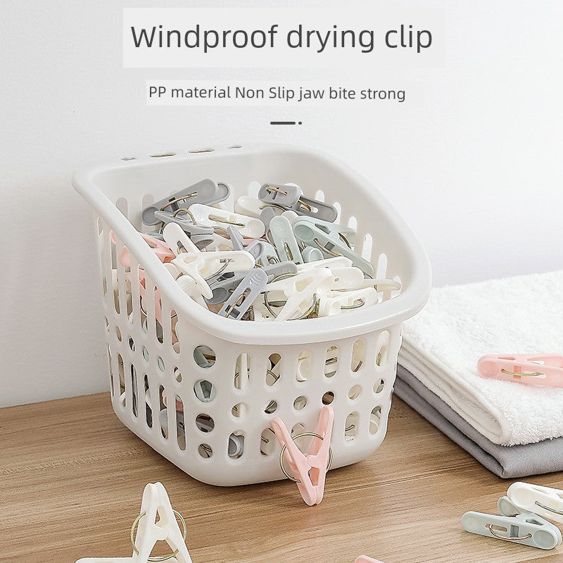 S45db9e4680e549388c03f578bb0c7a73D