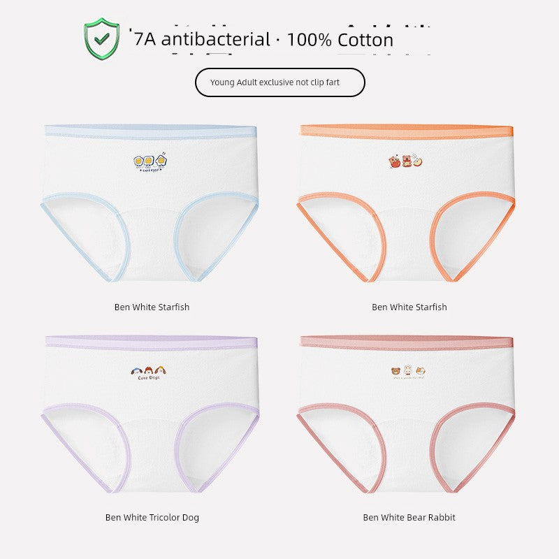 S463157d488f043cab2036b706d486da5T