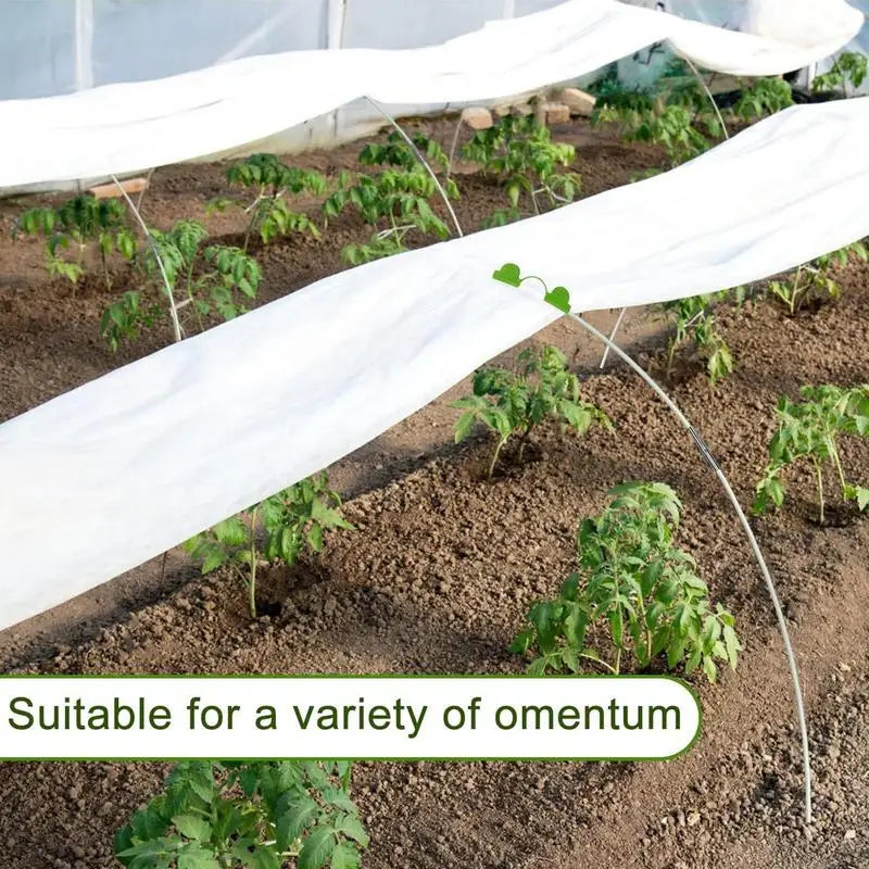 S4990c9dc91a84e11a5ca29905d5418c5O