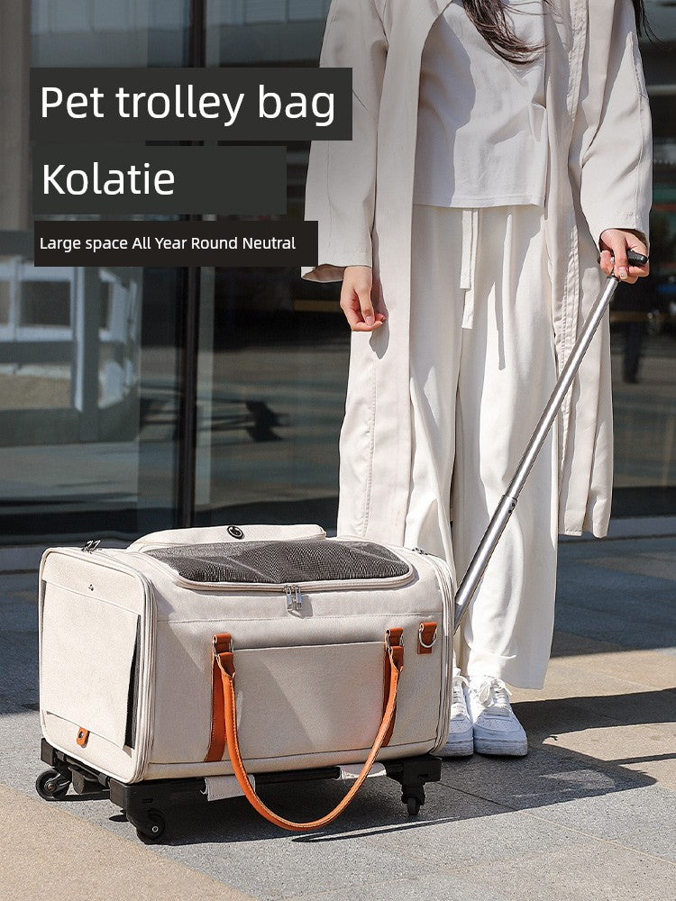 S4b6737573c8045968c60e6798f8ab9ebp