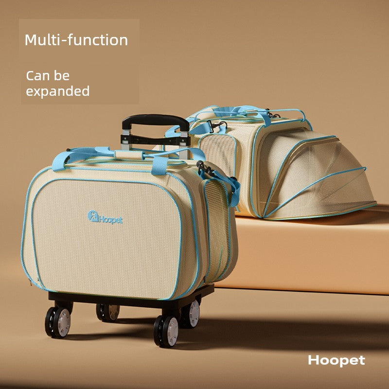 S4d0f914aed4a41a48ac67ce918428e77y